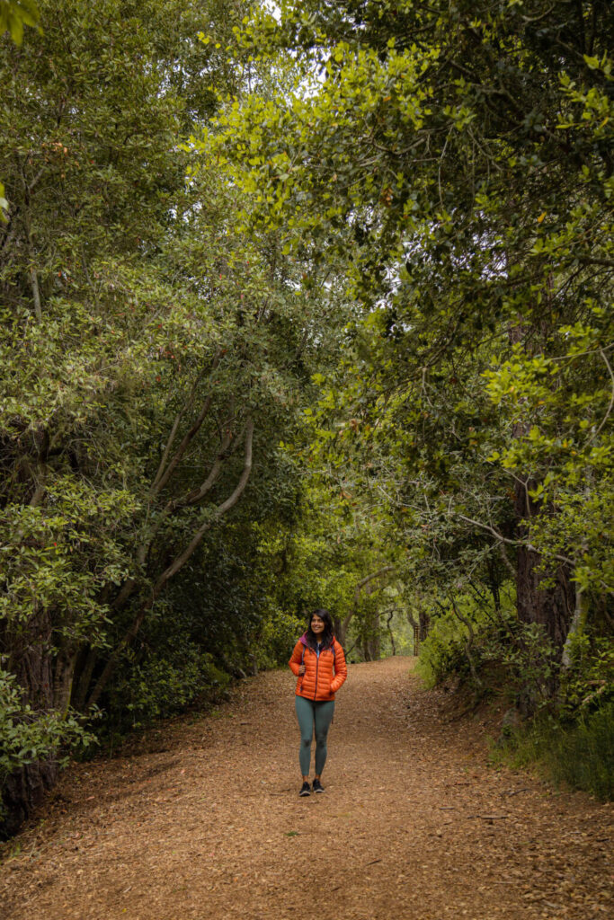 Mission Nature Trail Preserve in Carmel, California.