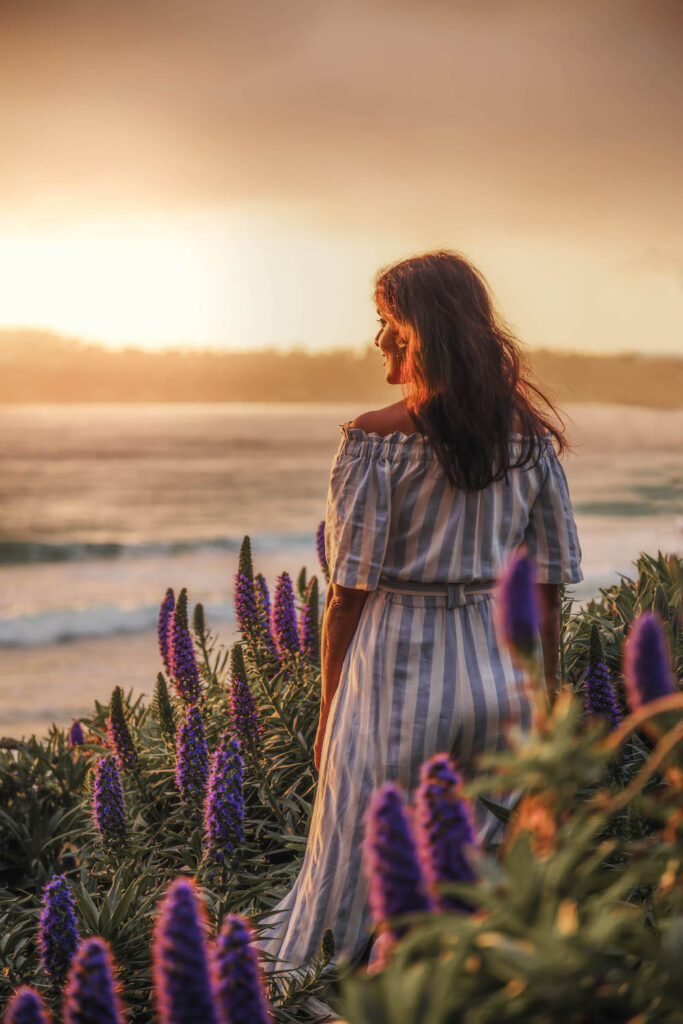 Carmel Beach at sunset overlooking the ocean.