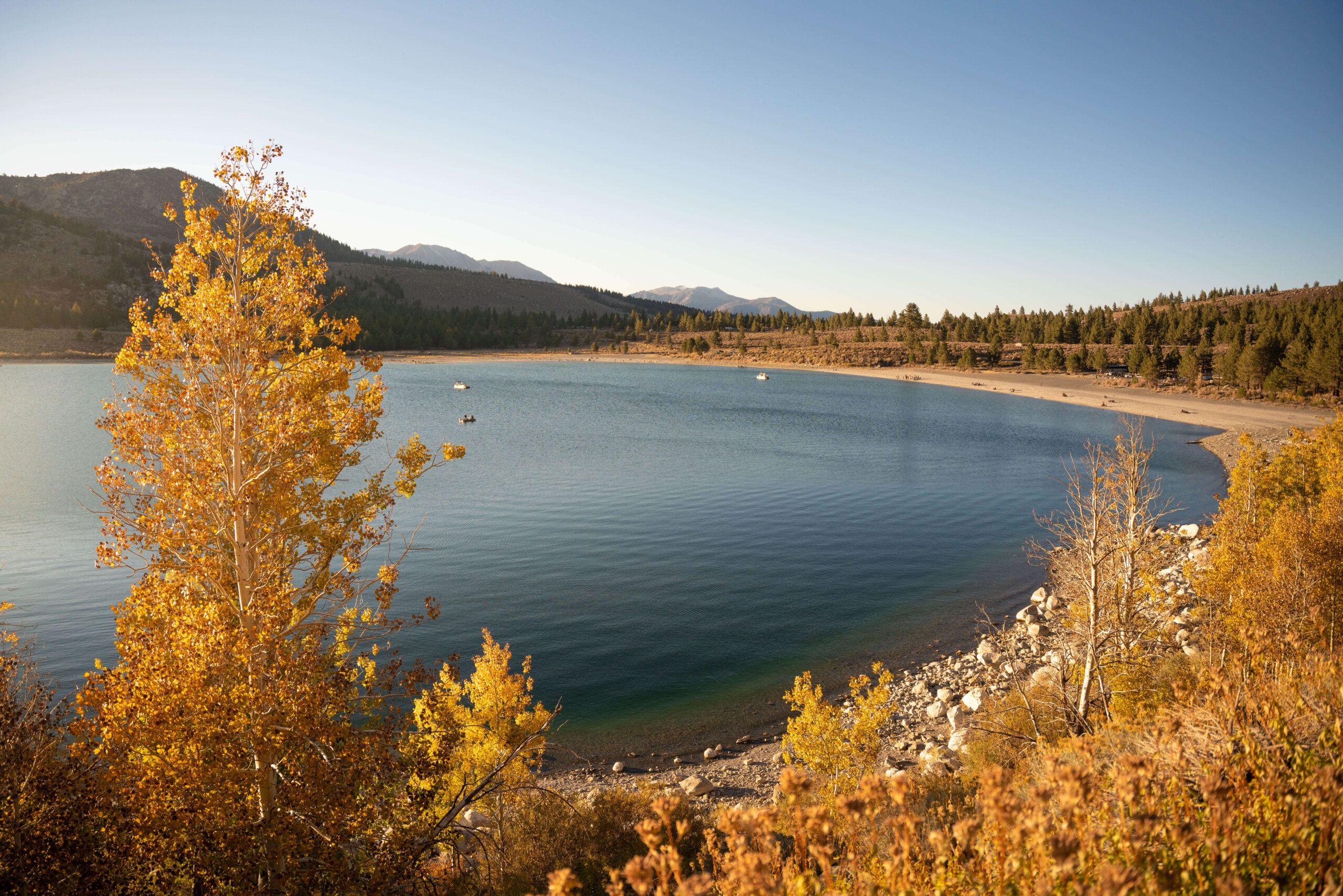 June Lake Loop fall colors in Mammoth Lakes. Photography by California Travel Escapes.