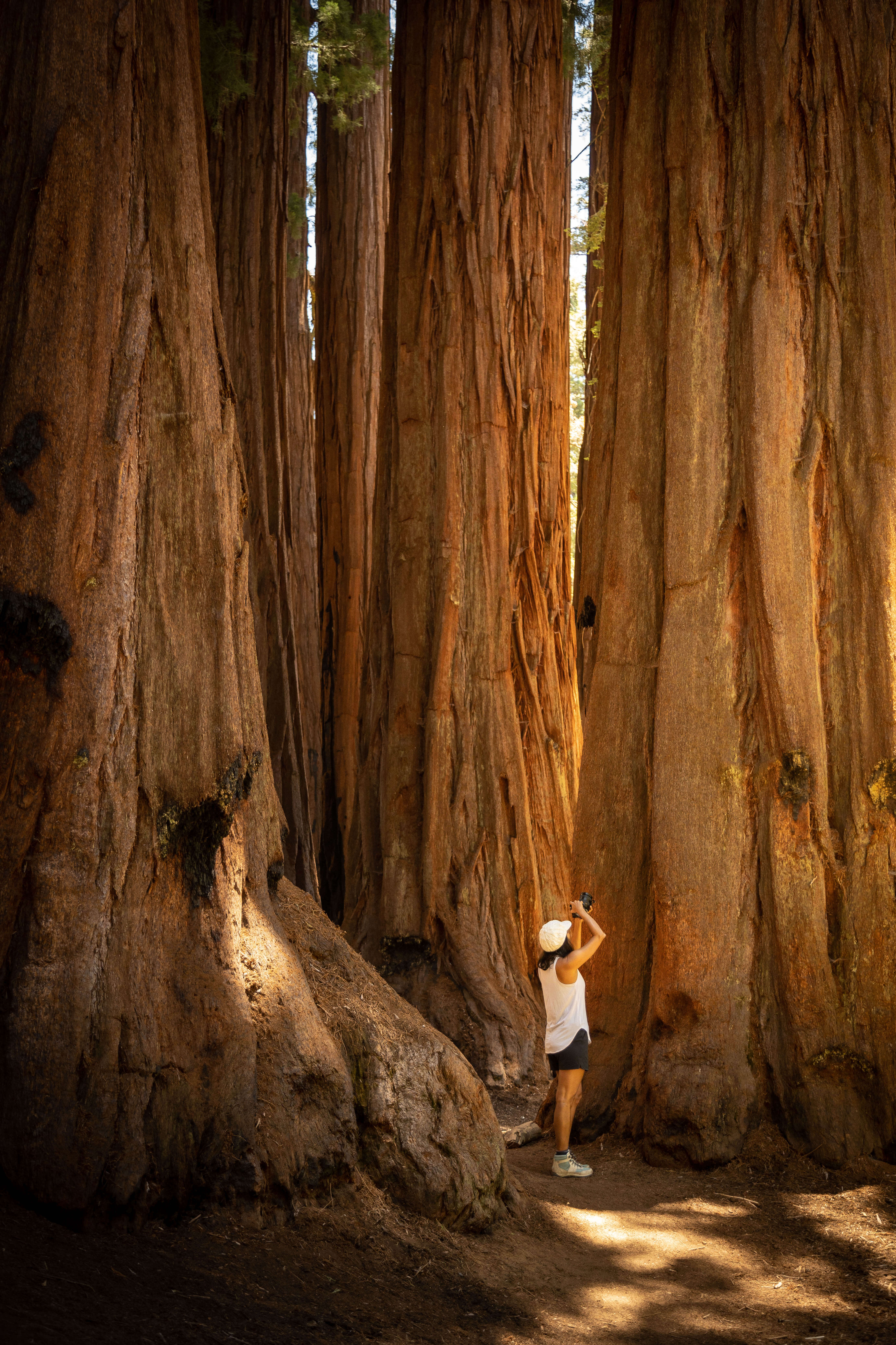 Majestic Mountain Loop in California. Photography by California Travel Escapes