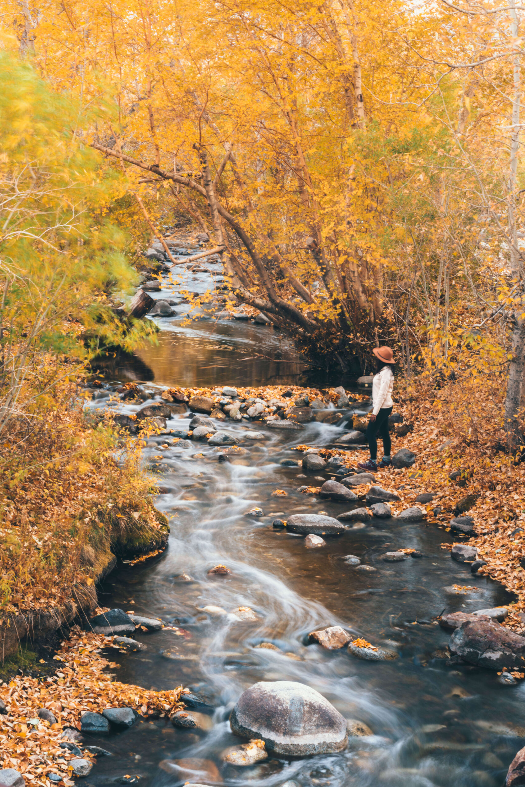 McGee Creek in Mammoth Lakes, California. Photography by California Travel Escapes.