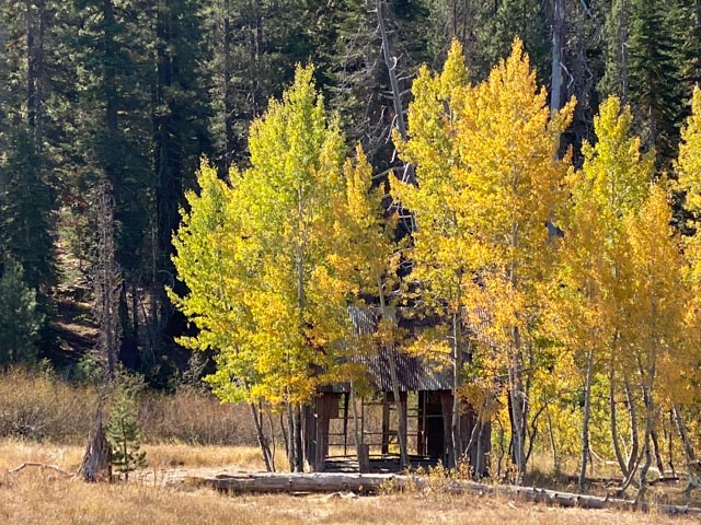 Fall colors in Lake Tahoe, California. Photography by California Travel Escapes.