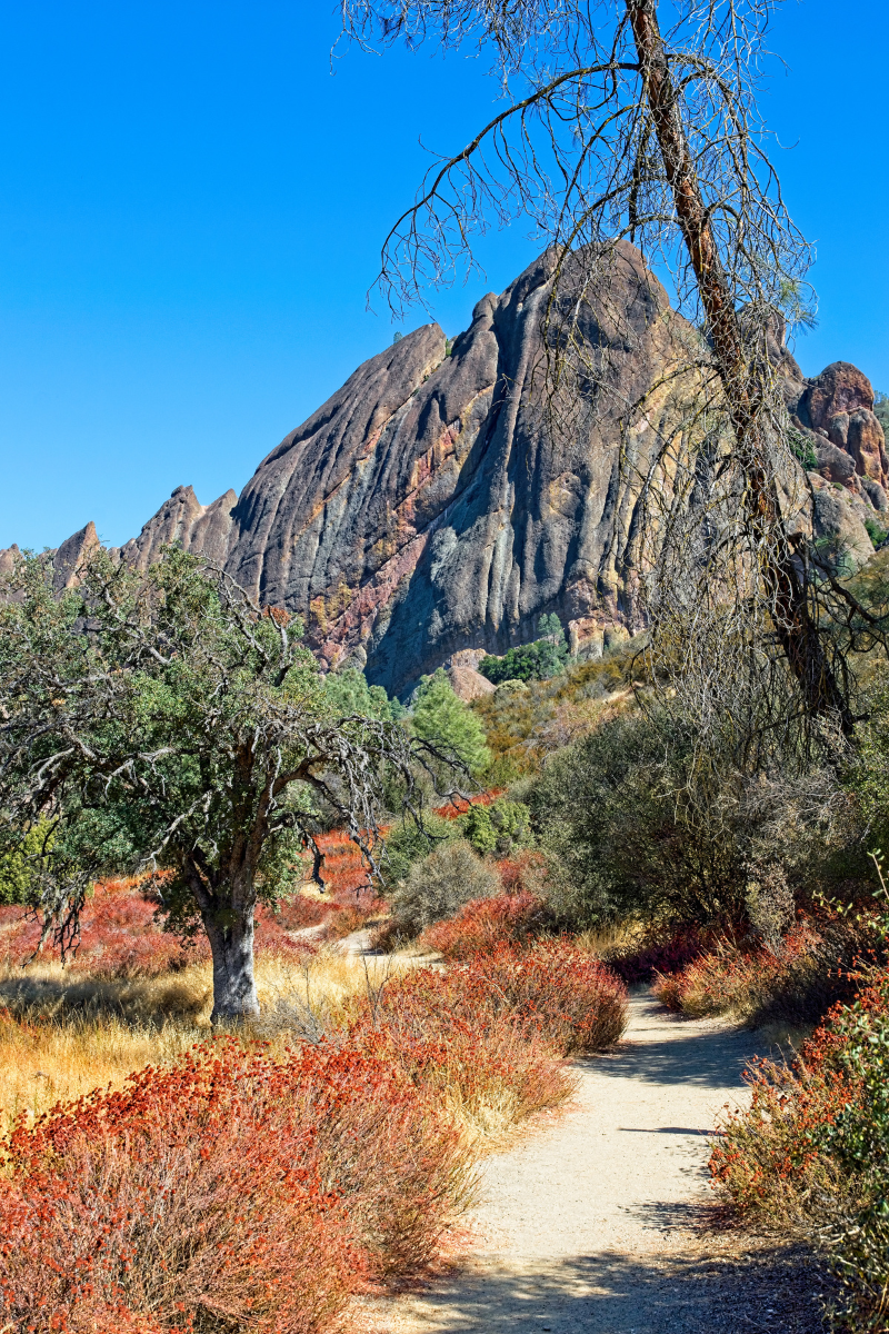 Walking trails and hiking paths through the terrain of Pinnacles National Park.