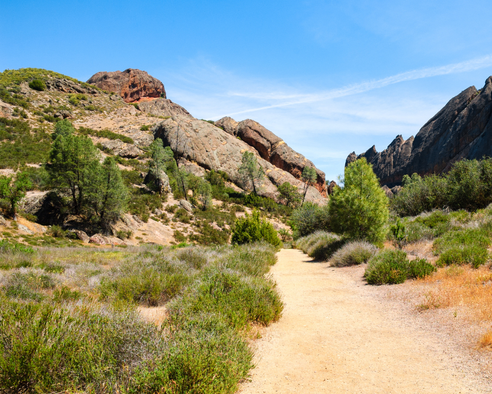 California's Pinnacles National Park in central California.